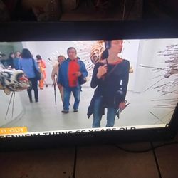 Televisión De 45 Pulgadas De Pared.