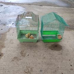 Bird Cages 