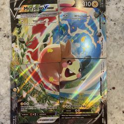 Morpeko V Union 310 HP