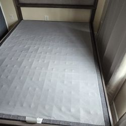 Bed Frame/box spring