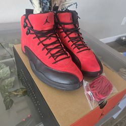 12 Jordan's 
