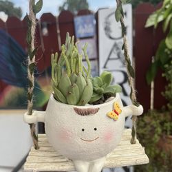 Hermosa planta De Tres Suculentas 