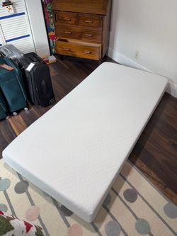 FREE Twin Mattress and Bedding