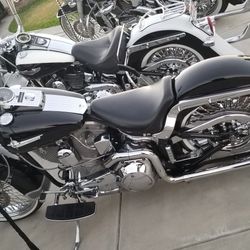 Harley davidson 