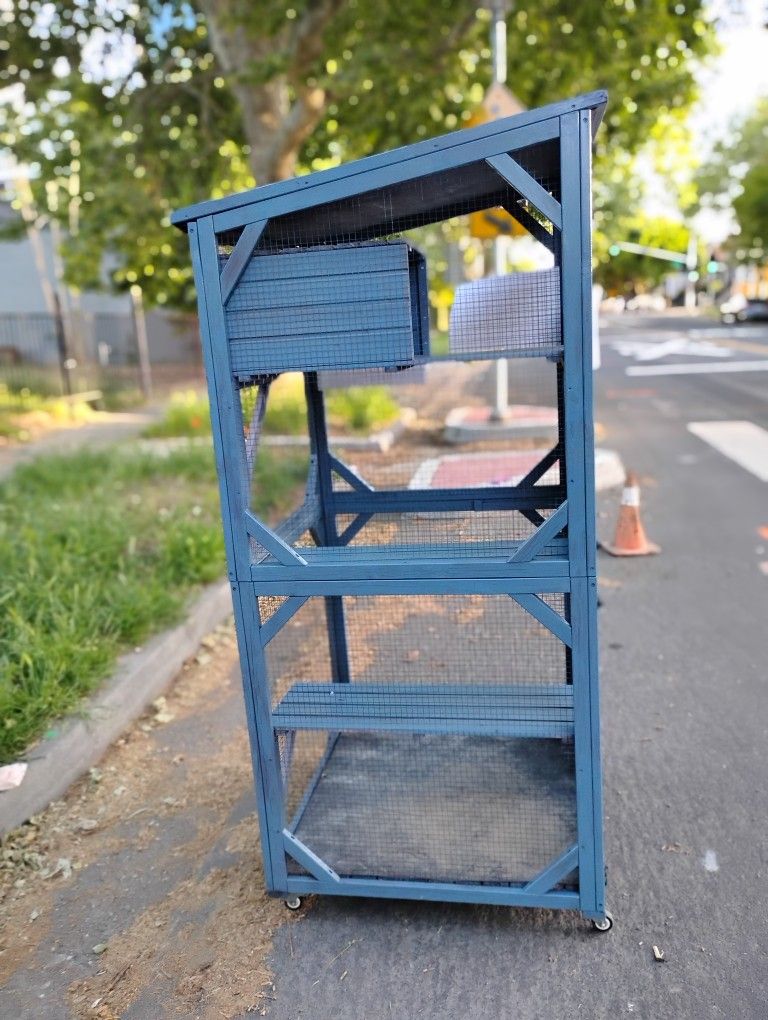 Cat Catio