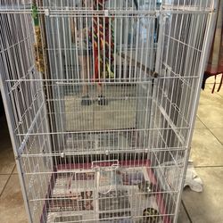 Bird Cage 