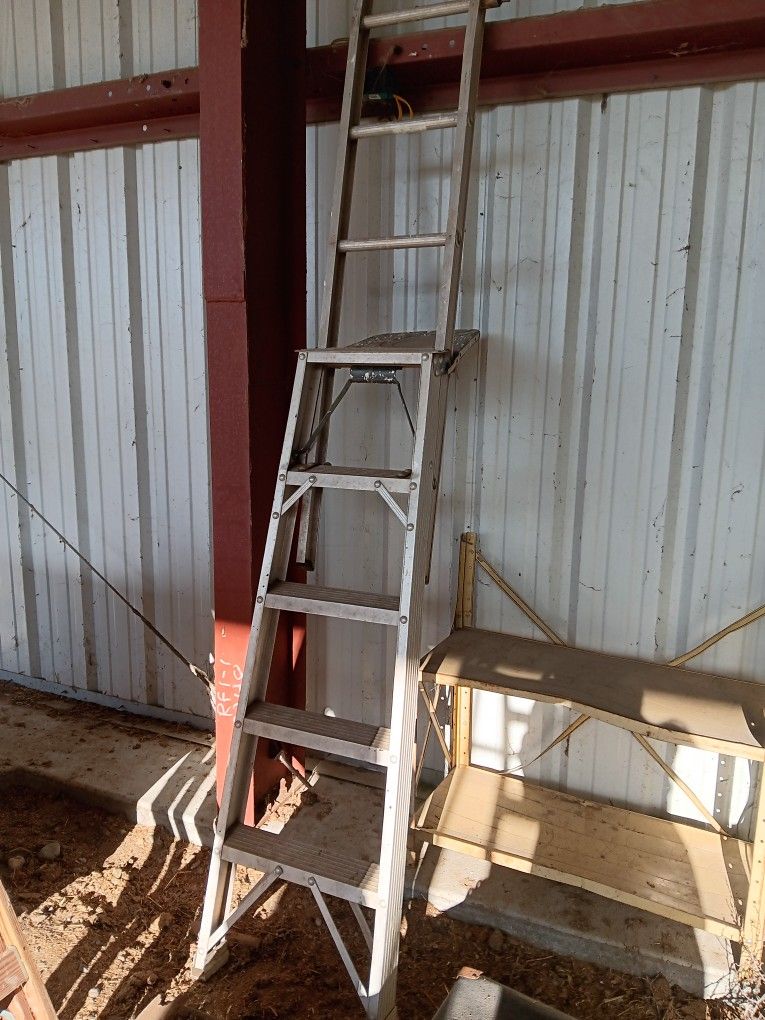 8" Aluminum Painting' Ladders