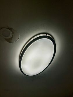 Oval 32.5 size x 17 led flush mount ceiling lamp