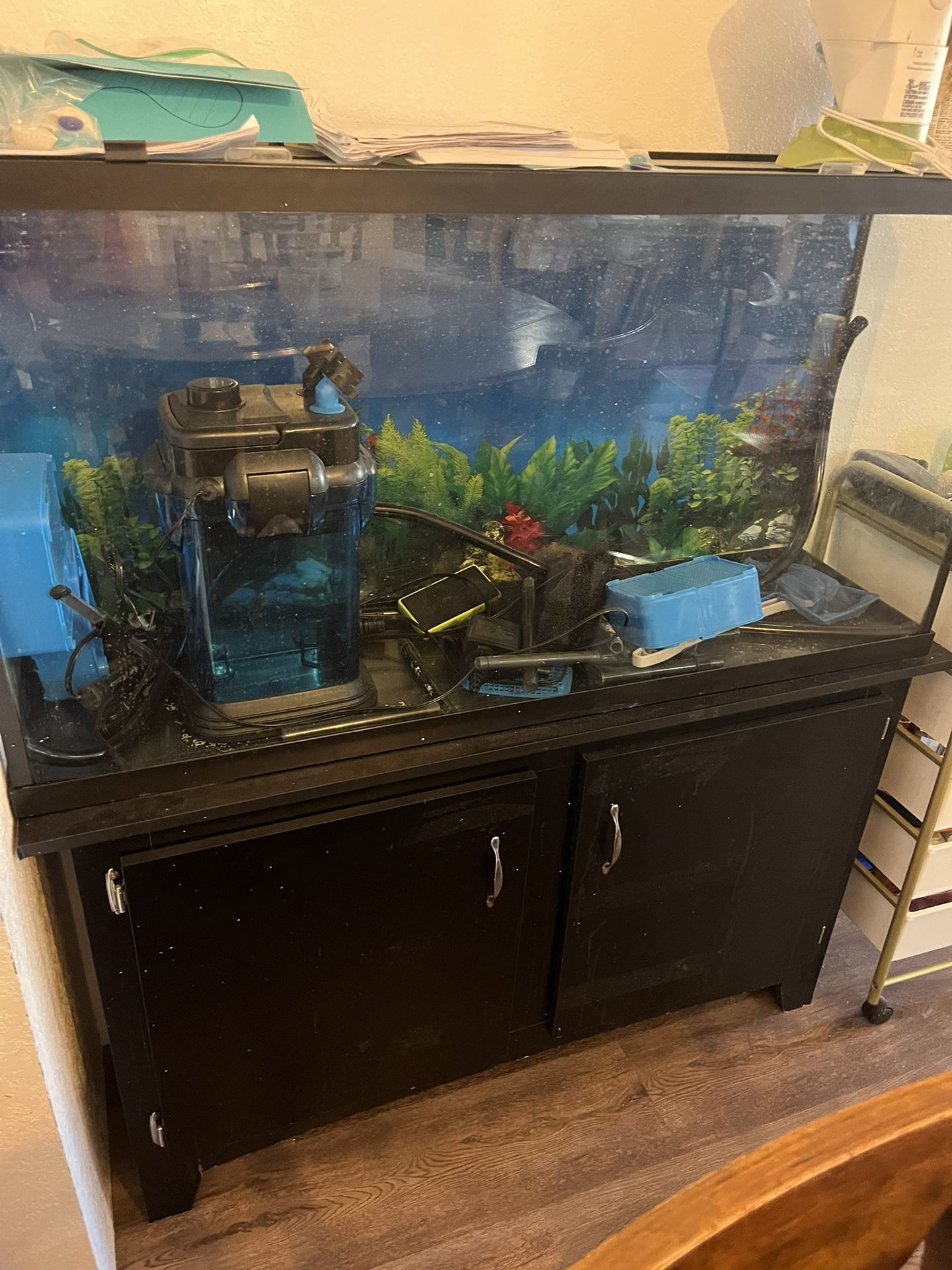 Fish Tank 65 Gallon 