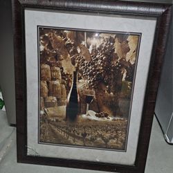 Framed Pictures