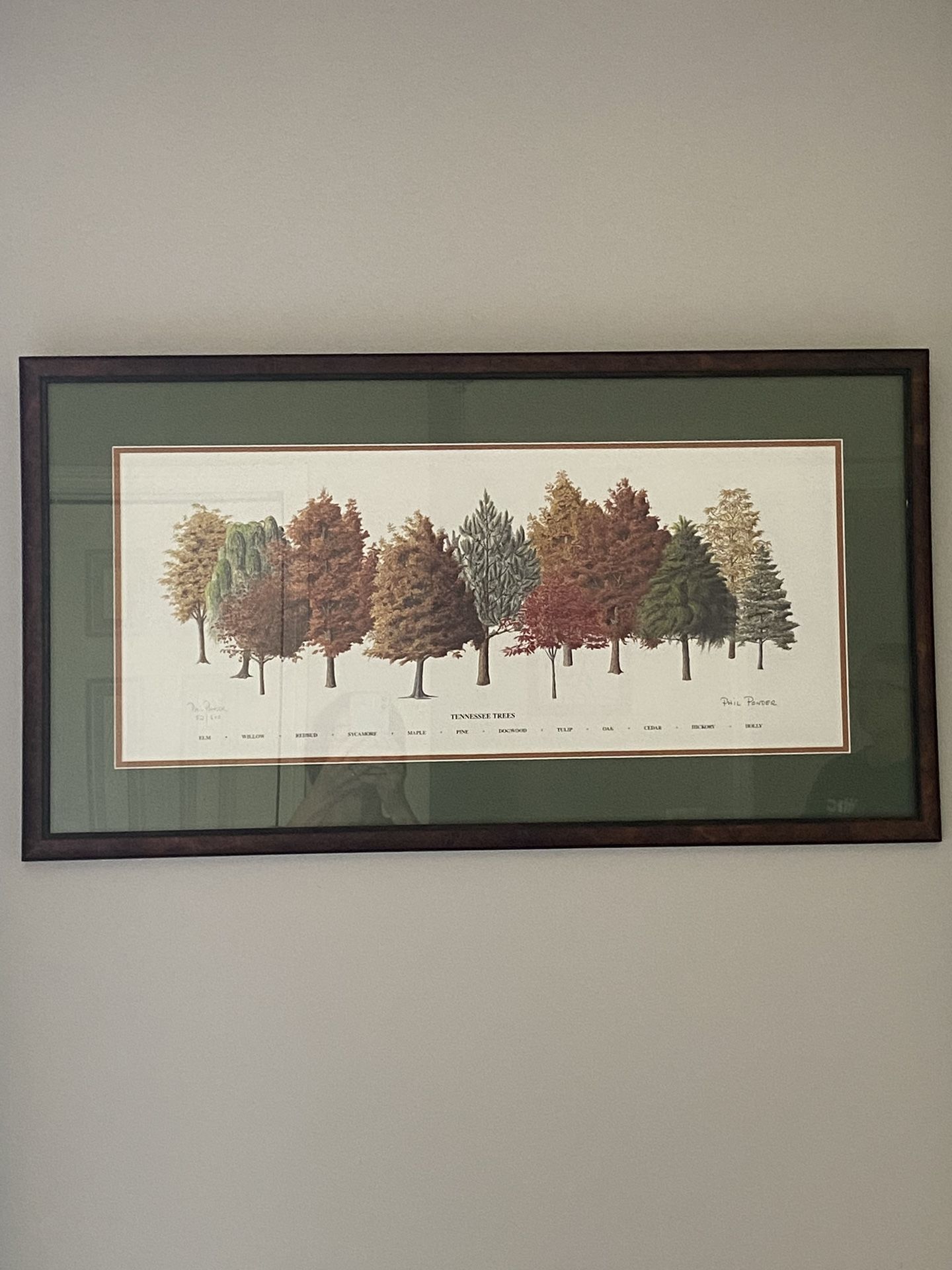Phil Ponder Print - Tennessee Trees