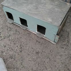 Green Chicken Nest 