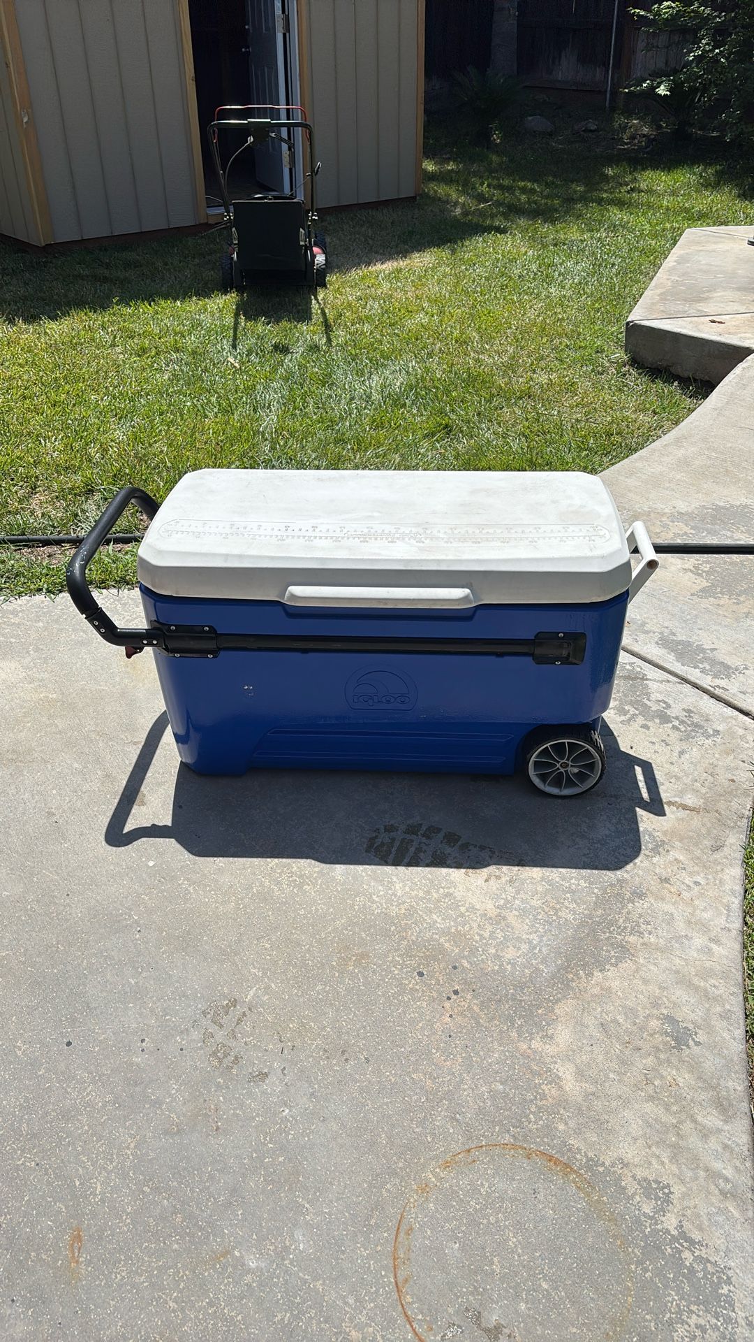 X-Large Igloo Cooler 168 Can 104 Liter 110qt