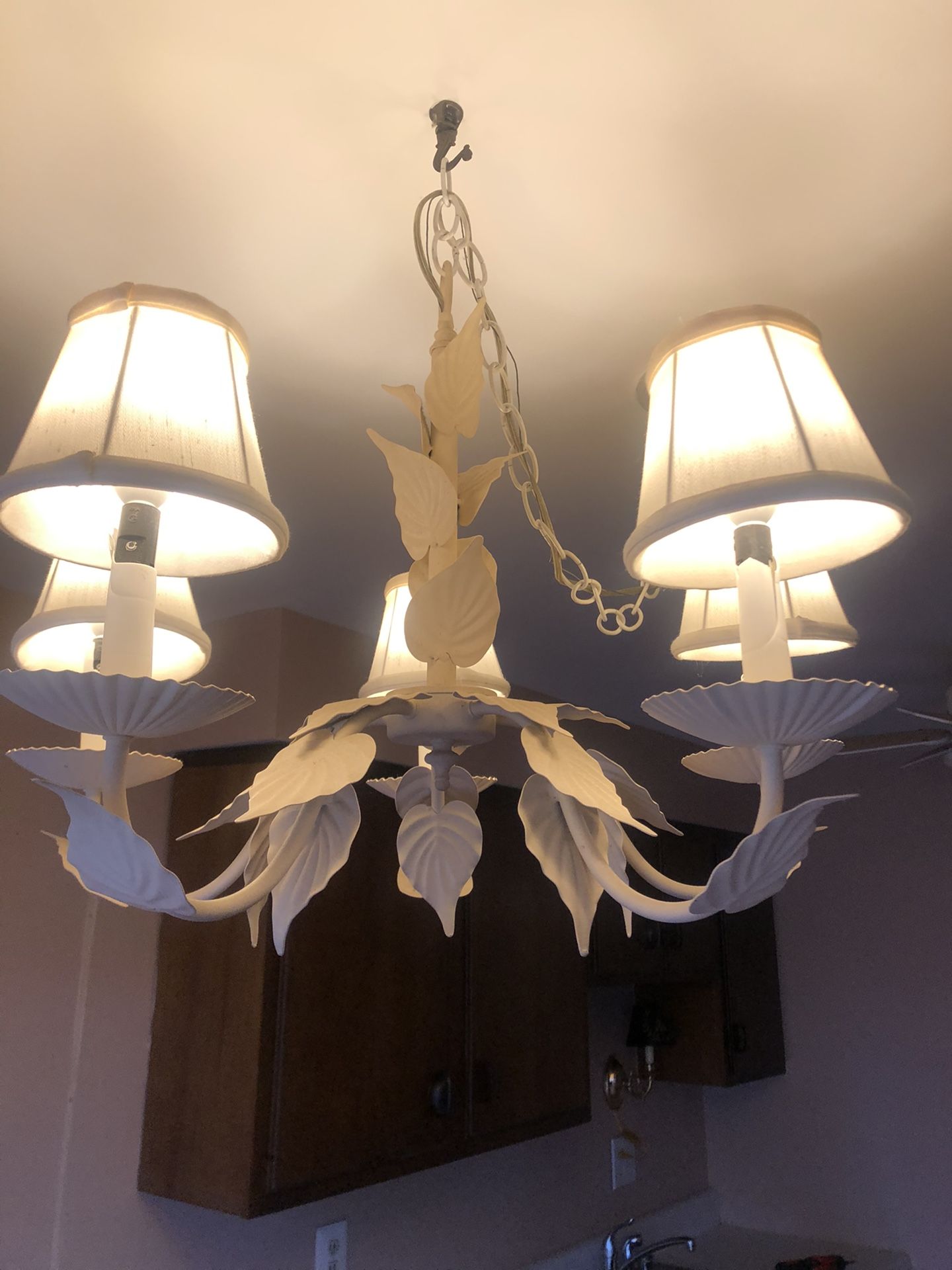 5 Light Chandelier