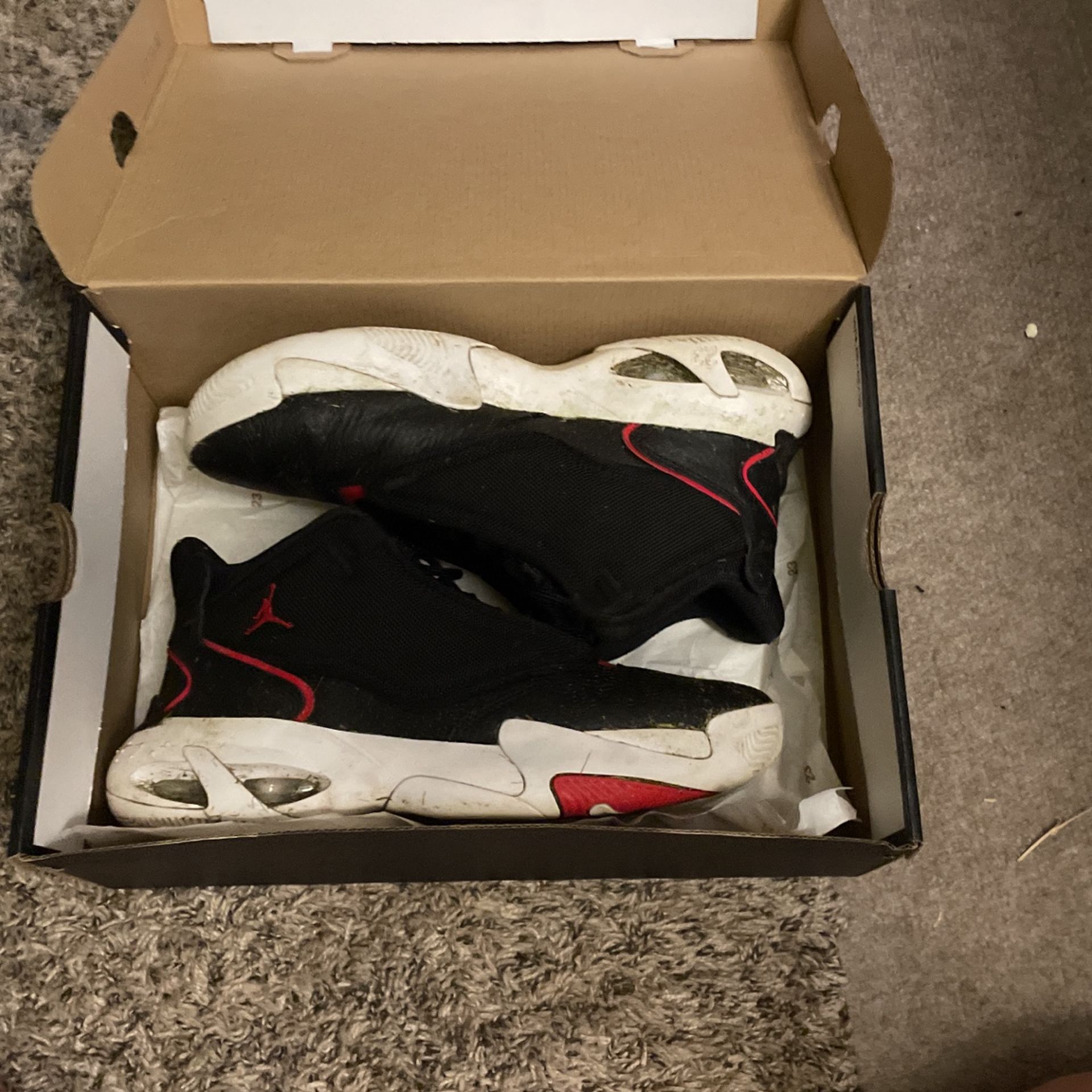 Jorden Max Aura 4