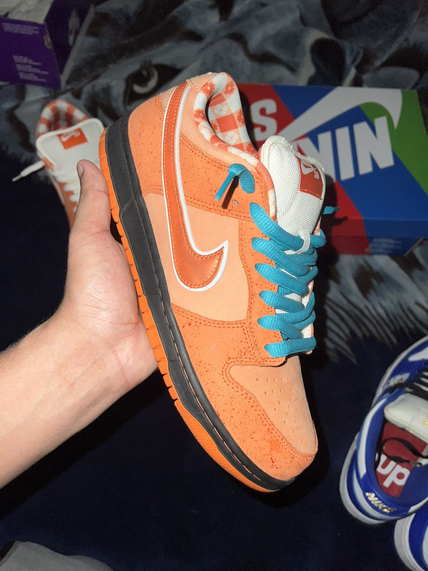 Nike SB Orange Lobsters