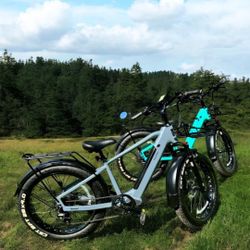 Velotric Nomad 1 plus Fat Tire E-bike 55 mile range and 25mph UL certified floor model 