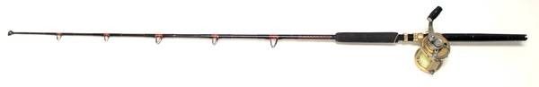 Penn 50SW International II Reel & Custom Deep Sea Fishing Rod