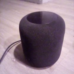 Apple Speaker