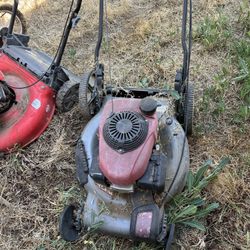 Lawn Mower 
