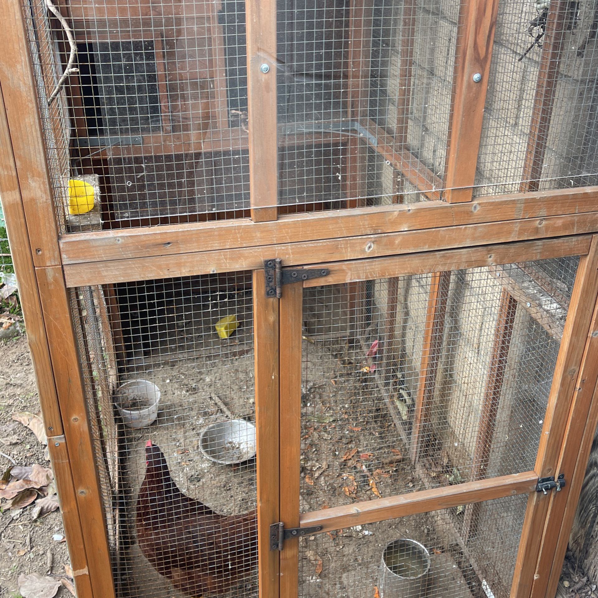 Bird Or Chicken Cage 