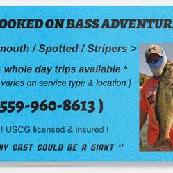 Bass Fishing Guide // largemouth, spotted, stripers