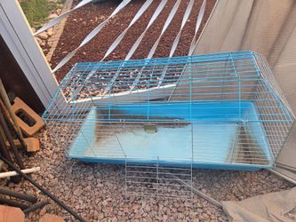 Guinea pig cage