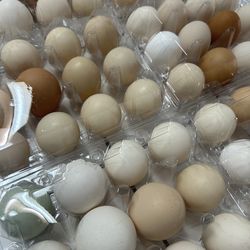 Farm fresh eggs