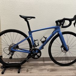 2021 Specialized  Roubaix (Carbon Fiber)