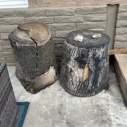 Free Large Tree Trunks