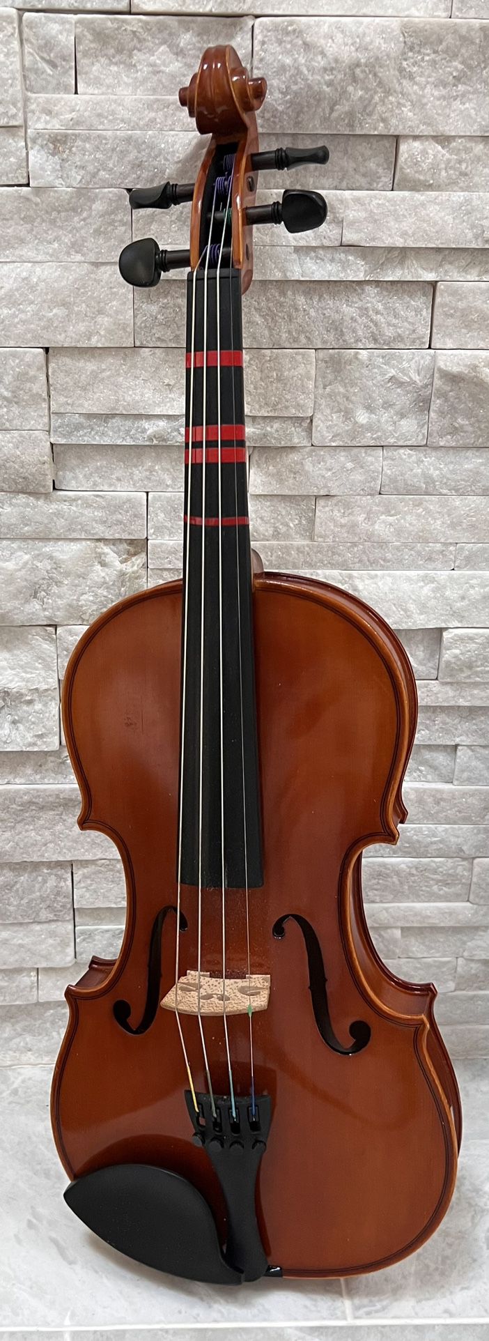 Eastman vl80-4/4 Violin 