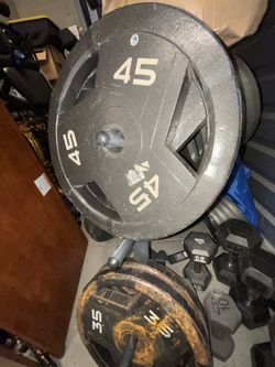 Olympic Weights And Benches