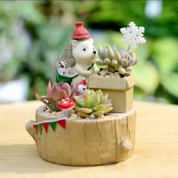 Flower pot, Resin Succulent Pot