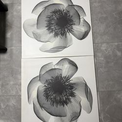 Large Black & White Floral Canvas Wall Art Set – 35” x 35” IKEA Modern Decor