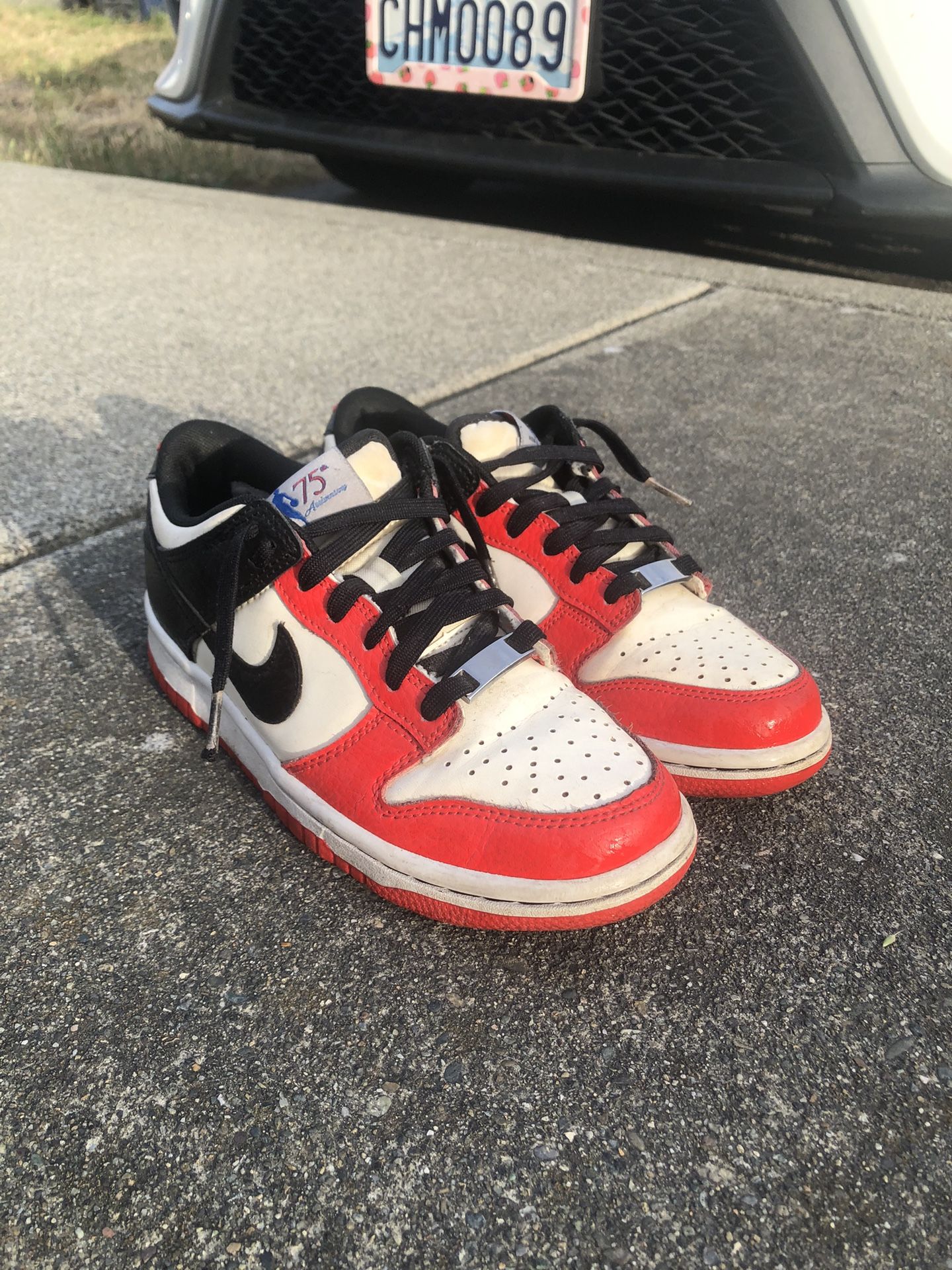 Nike Dunk Low EMB NBA 75th Anniversary Chicago