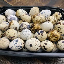 50 Quail Eggs $20 Fresh Organic ￼