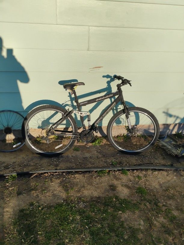 Incline/Mountain Bike