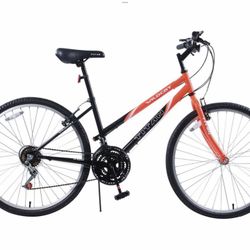 Ladies Bike 