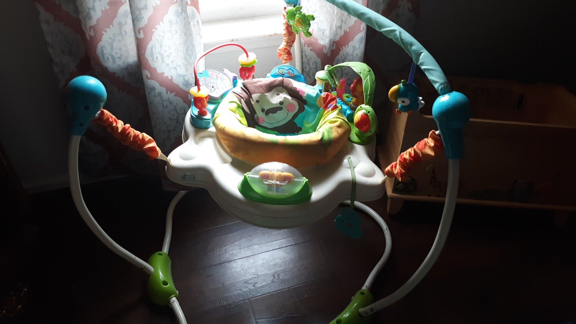 Fisher-Price Bouncy chair