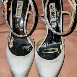 Elegant Satin  Shoes