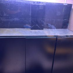 Fish Tank And Sump