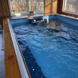 Endless Pool for Sale 12 ft x 7 ft - Franklin, IN