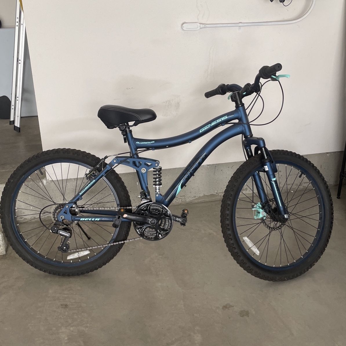 Bella republished vista bike