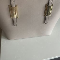 Aldo Beige/Tan Tote Purse