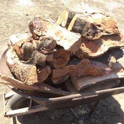 Dry Almond firewood. Ready for camping, BBQs, Grilling.