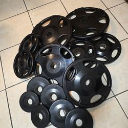 Weight Hamtpon Rubber Plates