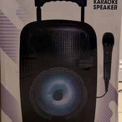 Maxpower 8" Karaoke Speaker MPD844L 5000W P.M.P.O with Mic