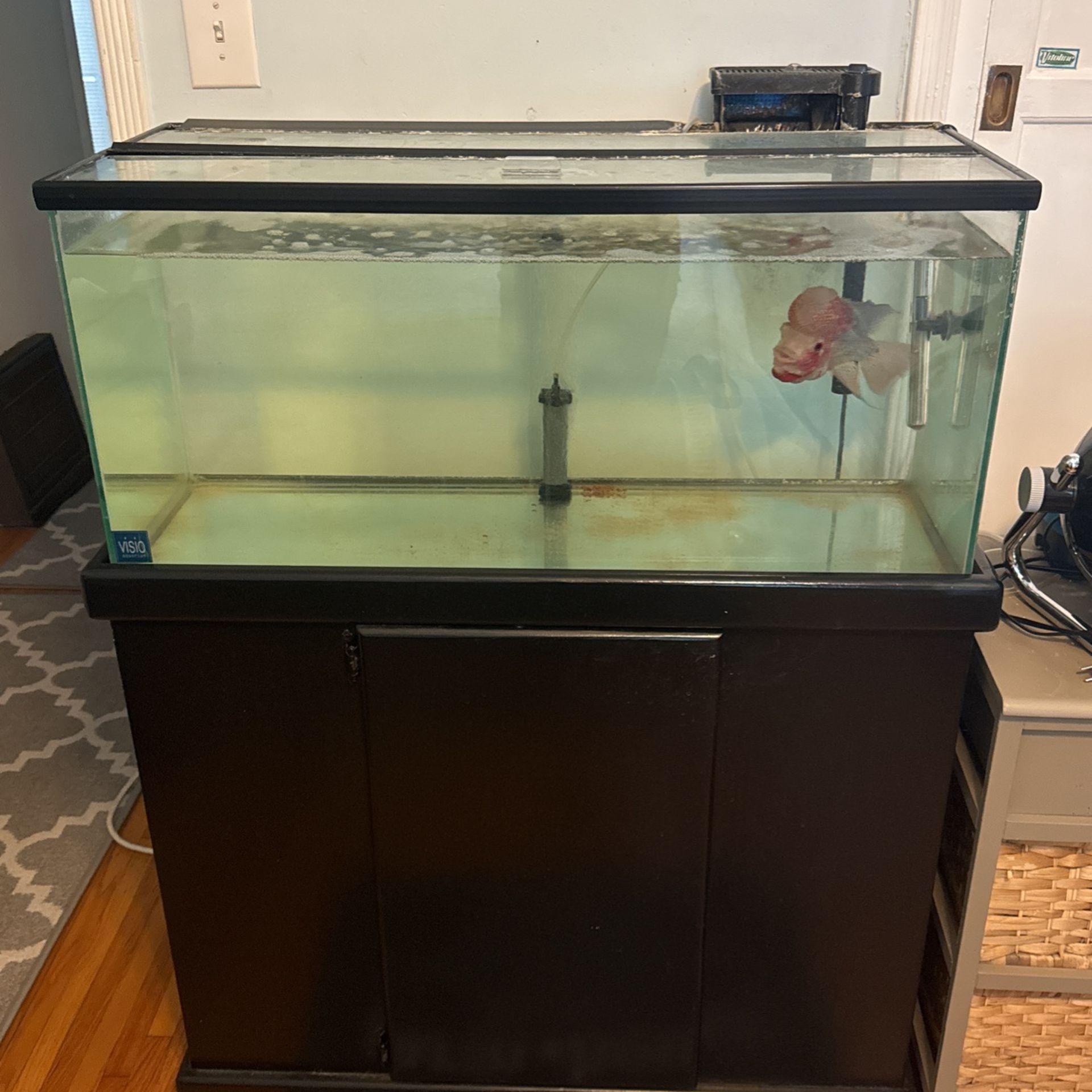 40 Gallon Fish Tank With Stand Filter And Air Stone Included
