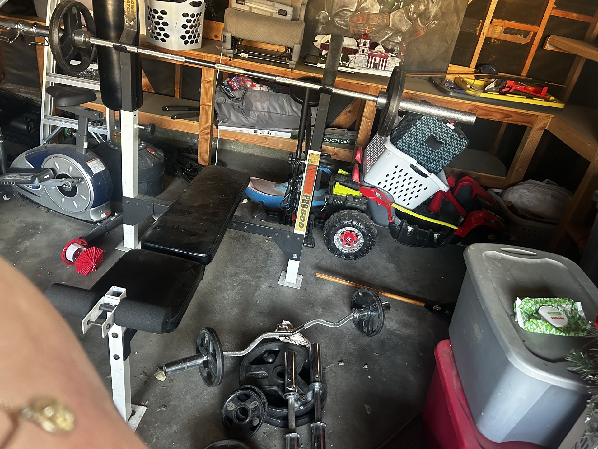 Wieder Pro 800 Weight Set