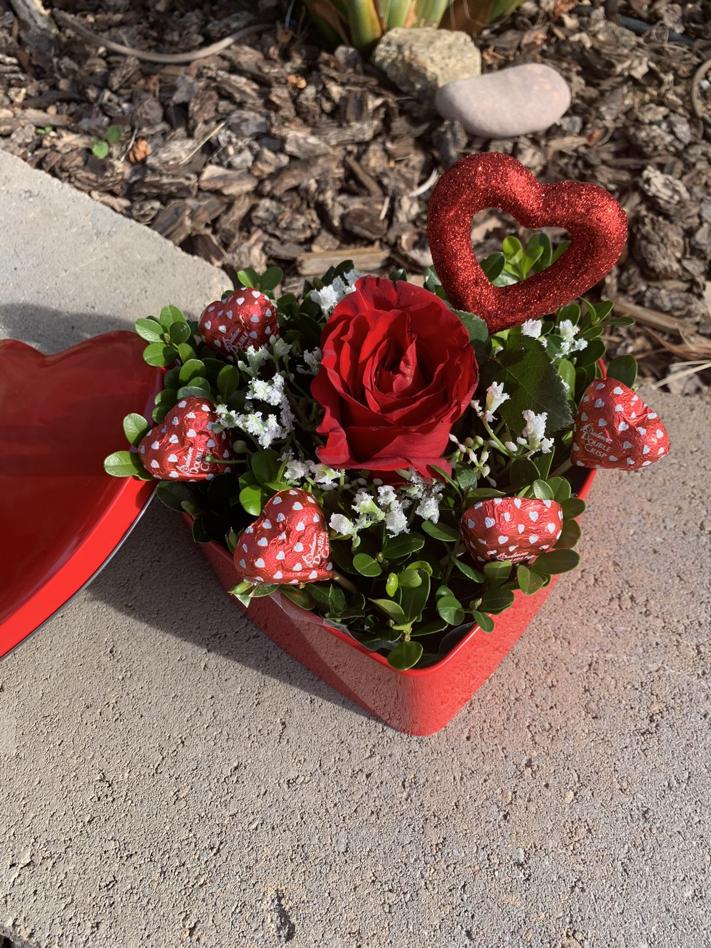 Roses